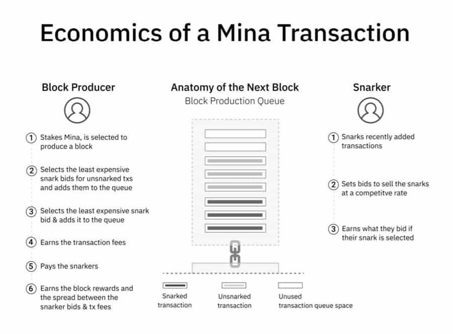 Economics of Mina Transaction