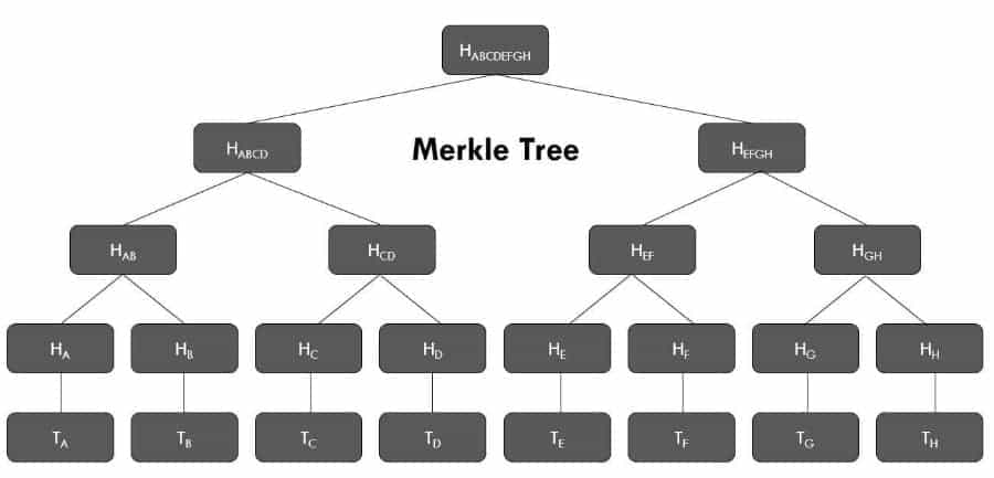 Merkle Tree Structure