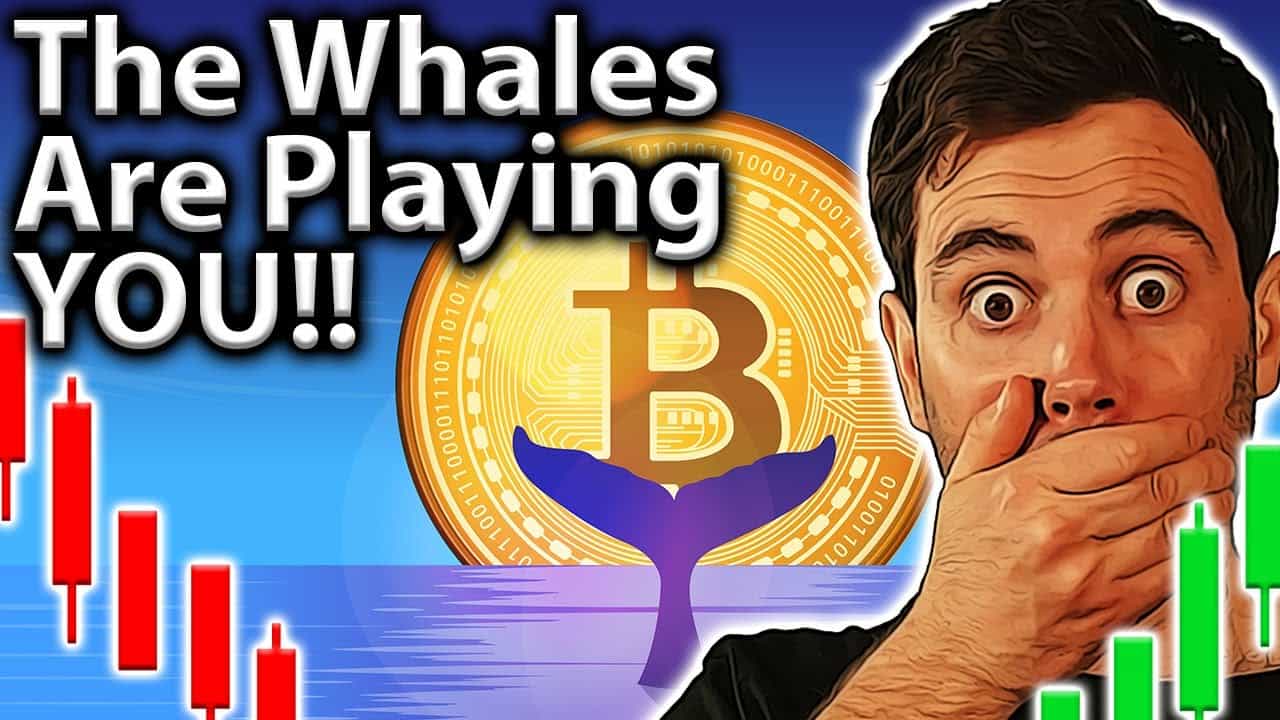 Crypto Market Manipulation! Wyckoff & WHALES!!🐋