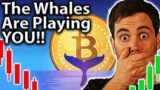 Whales Playing You