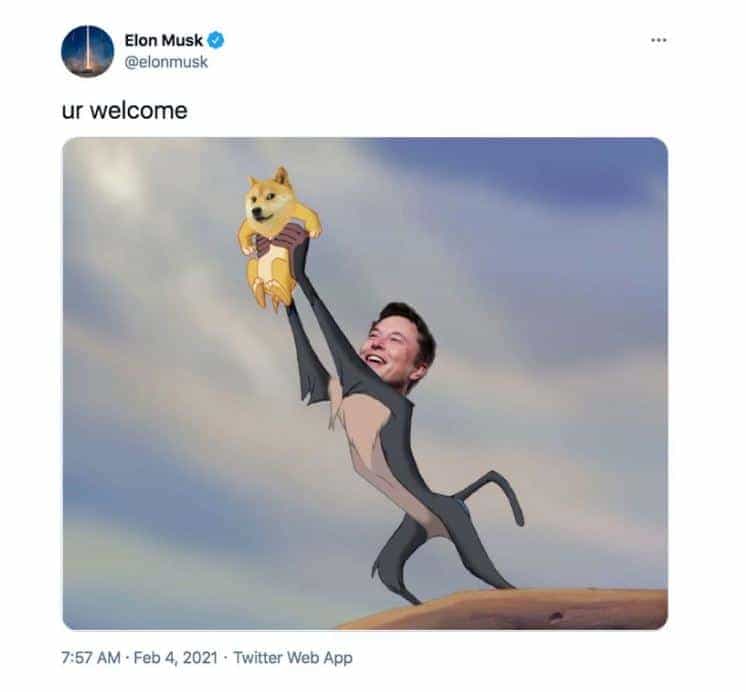 Musk and DOGE