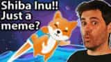 Shiba Inu: Dogecoin Killer?? Meme or Something More? 🐶