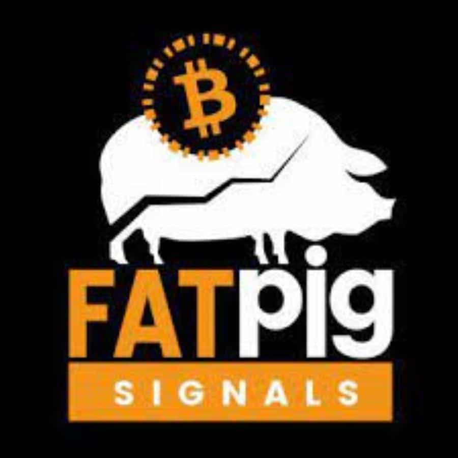 Fat Pig Signals Logo
