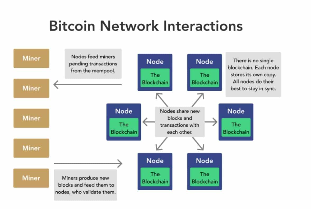 Bitcoin nodes vs miners